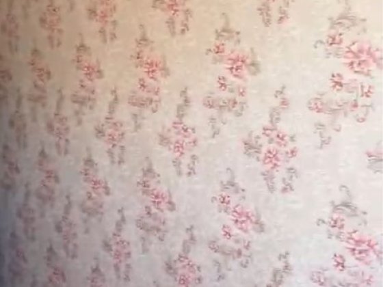 Сдам однокомнатную на Высоцкого