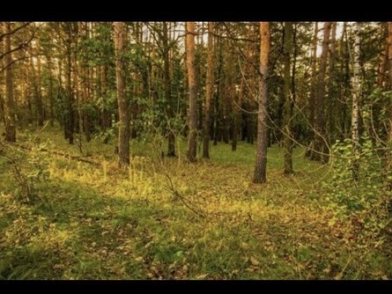 Продам капітальний гараж в Києві на Оболоні, водогін, біля жк Forest Park з автоновним електроживлен Вышгород