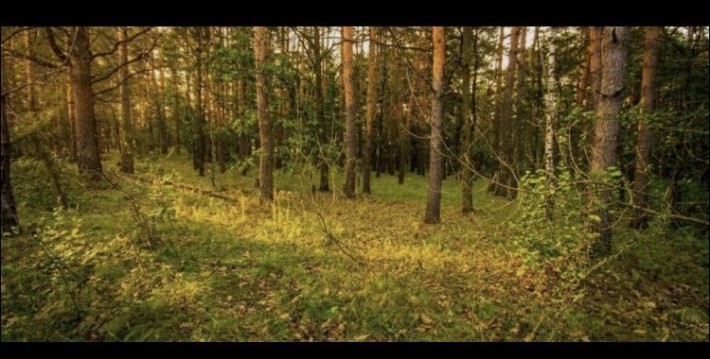 Продам капітальний гараж в Києві на Оболоні, водогін, біля жк Forest Park з автоновним електроживлен - фото 1
