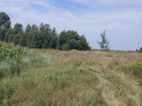 Продається земля для осг у Єлизаветівці Коростышев