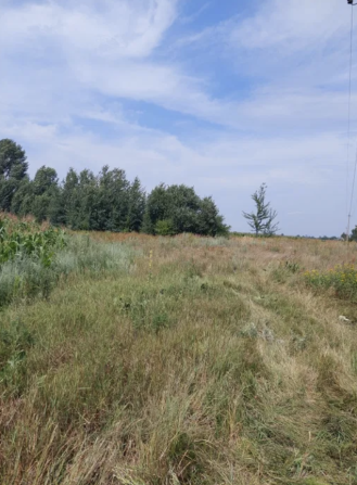 Продається земля для осг у Єлизаветівці - фото 1