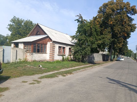 продам будинок з трьома гаражами на території Александрия