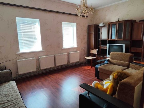 Продам будинок в Кам'янському (Романково) біля річки Кам'янське