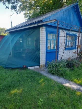 Продам дачу, Власівка - фото 1