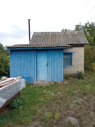 Дача з будиночком (барок) - фото 1