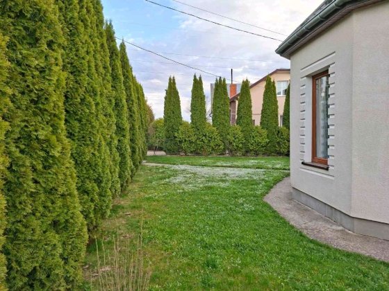 Продаж будинку с. Дережичі | 7 км від Дрогобича | 15 км до Трускавця Дрогобыч