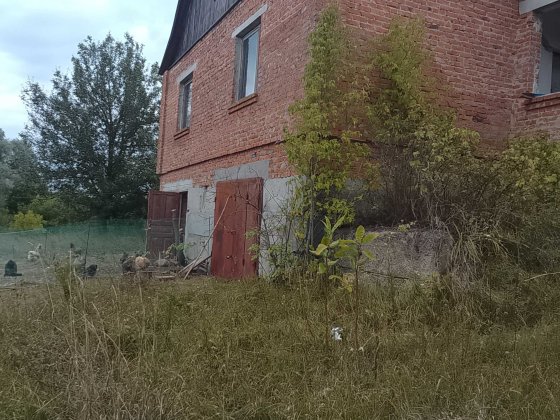 Приватний будинок Кам'янка