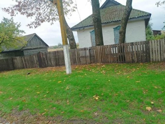 Горячее предложение! Продам Дом на 45 сотках, по Супер Цене в селе Тишенковка,  с выходом к ставку.  Берестин