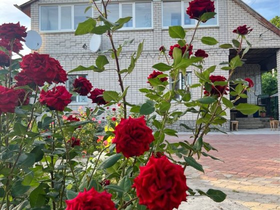 Продам  будинок Воронівка Самар