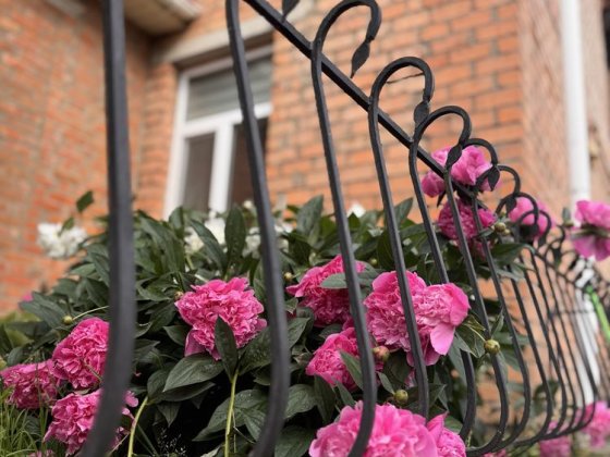 Продаж двоповерхового будинку Ромны