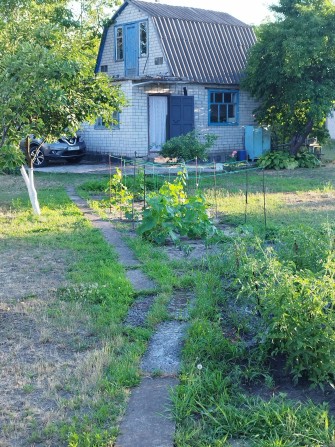 Продається дача, Сади 4 - фото 1