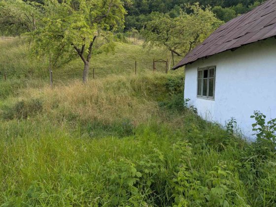 Будинок в місті Косів Косов