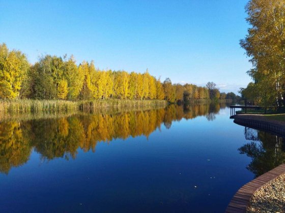 Конча-Заспа, Усадьба на березі річки (3 дома, 490+230+221), 50 соток. Без комісії