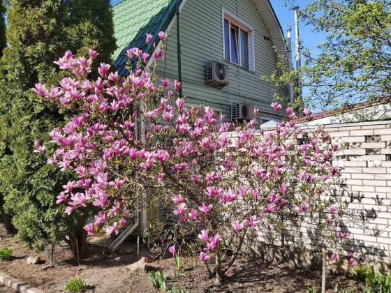 Будинок продаж у курортному Ворзелі Без комісії