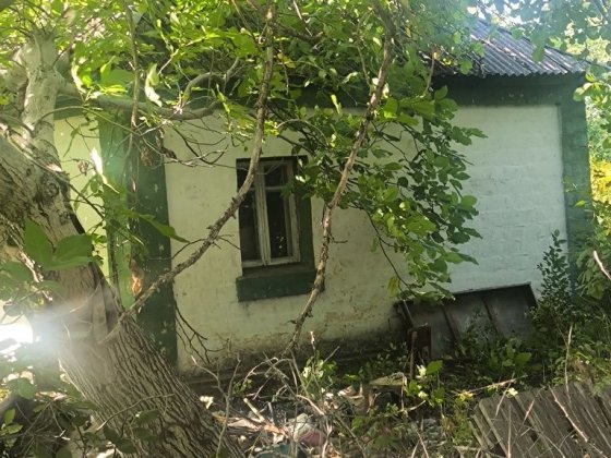 Продається будинок під знос або реставрацію Велика Димерка