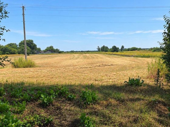 продаж старої хати з земельною ділянкою. Село Тарасівка, Володарський район Тарасовка