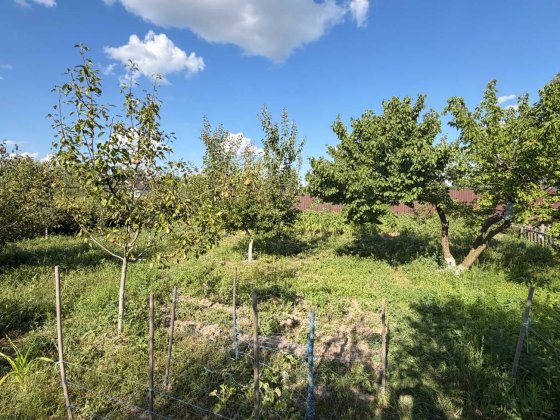 Будинок з гаражем  автономним опаленням і каміном на 4 кімнати в с.Требухів