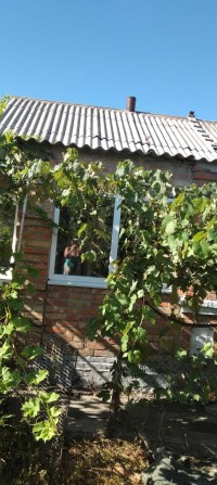 Продам 3-кімн. будинок 54 кв.м Мала Виска - фото 1