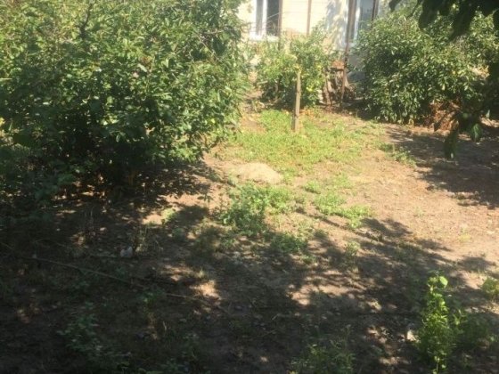продам житловий будинок с. Врадіївка, Миколаївської області. Врадіївка