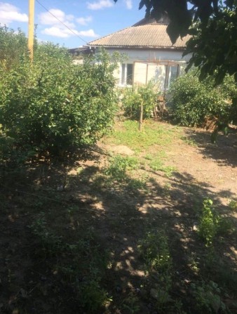 продам житловий будинок с. Врадіївка, Миколаївської області. - фото 1