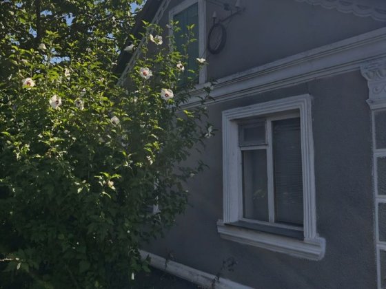 Просторий будинок з великим садом Великодолинское