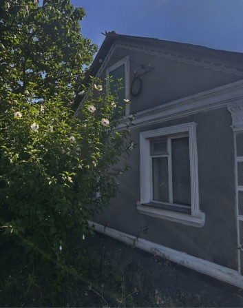 Просторий будинок з великим садом - фото 1