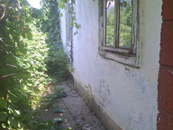 Дача, с. Светлое Одесский район