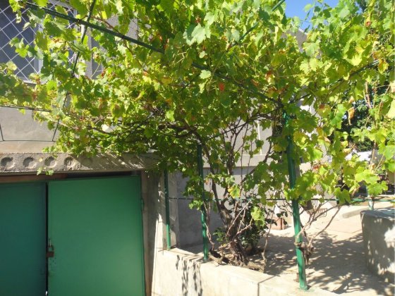 Продам дом 135км метров Новая Дофиновка