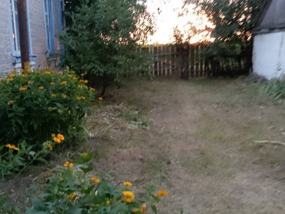 Продам будинок в Полтавській обл Гребінка