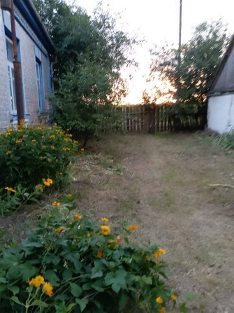 Продам будинок в Полтавській обл - фото 1