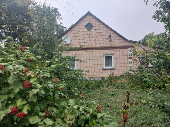 Продаж будинку в селі Велика Омеляна Велика Омеляна