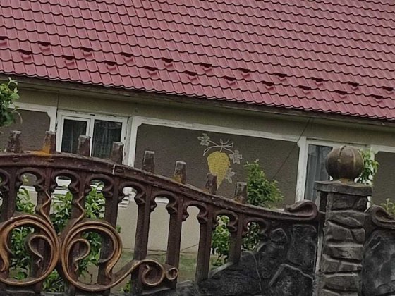 Продам житловий будинок Млинов