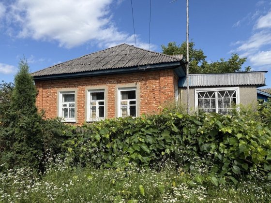 Продам будинок, смт Вороніж, Сумська область - сад, сараї, літня кухня, погреб Вороніж