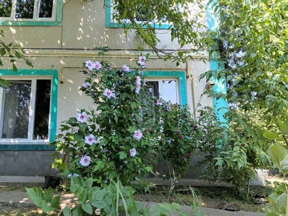 Продаж будинку в селі Ланівці