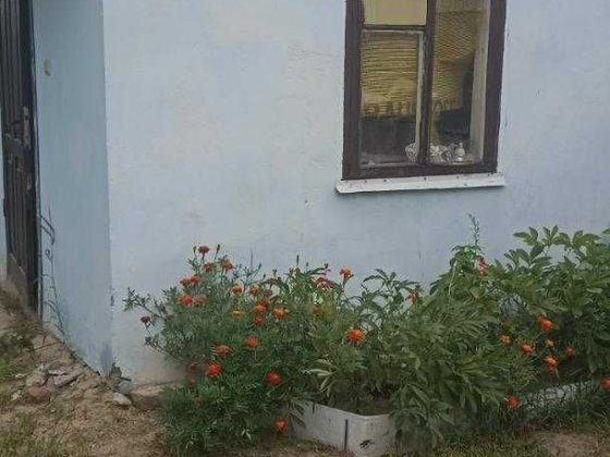 Продам большой дом в Васищево Васищеве