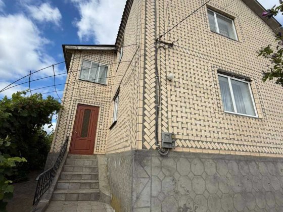 БУДИНОК У с. ДРУЖНОМУ | 25 соток | 110 М² Красилов