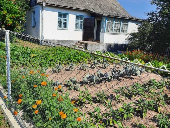 Хата з ділянкою 22 сотки Красилов