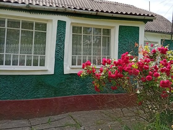 Продам два будинки на подвір'ї та велику зем.ділянку.Довжок Должок