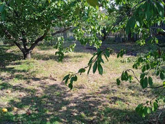 Продам будинок  в Чигирині Чигирин