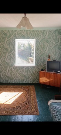 Будинок дача Мошни приватизована.Власне озеро в кінці огороду - фото 1