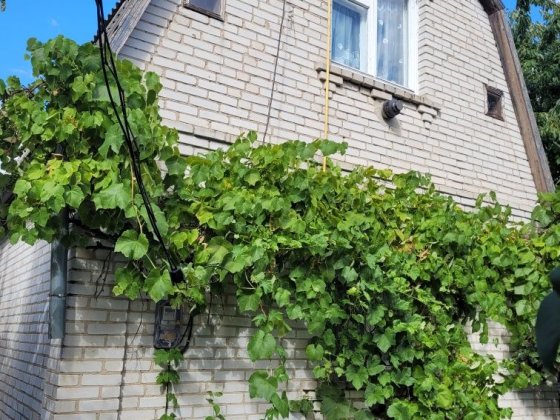Будинок 5 км.від Білої Церкви, 30 000 у.о. Белая Церковь