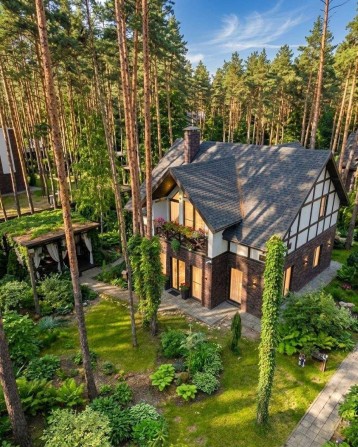 Власник. Лісова Буча. Автономний будинок у сосновому лісі з сауною та каміном - фото 1