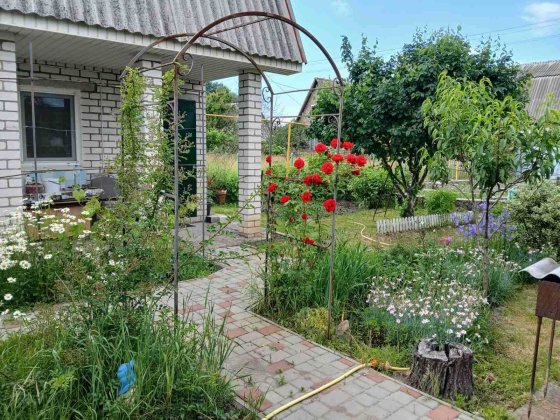 Продам дачу СТ "ЧАЙКА", с.Самусіївка Кременчук