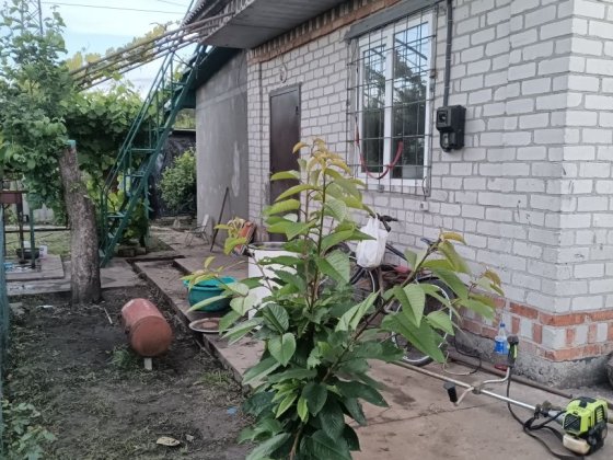 Продам дачу Знаходиться в садовом товаристві  ЛАНДИШ Кременчук