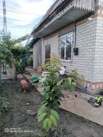 Продам дачу Знаходиться в садовом товаристві  ЛАНДИШ - фото 1