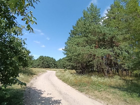 Продається дача в СТ Фіалка Кривуші Кременчук