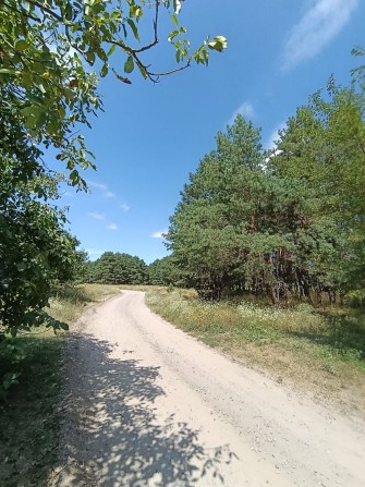 Продається дача в СТ Фіалка Кривуші - фото 1