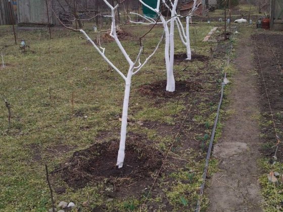 дача в кооператив Мечуринец долгинцевский район Кривий Ріг