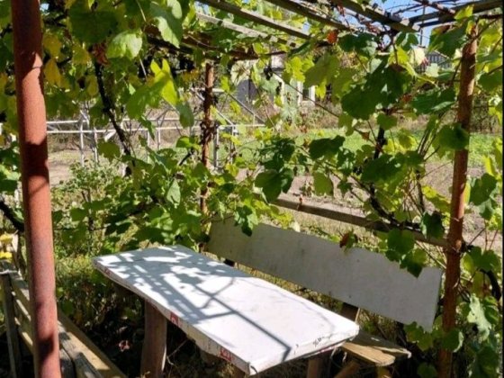 дача стПодусока 165000 грн Чернігів