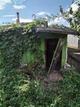Продаж 1 поверхового будинку з ділянкою на вул. Полуботка Павла - фото 1